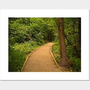 Path in Zelenci Nature Reserve, Slovenia Posters and Art